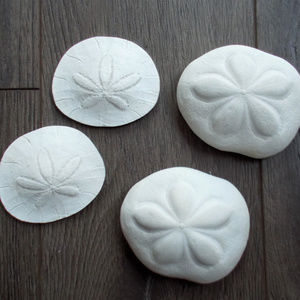 Faux Sea Biscuit & Sand Dollar